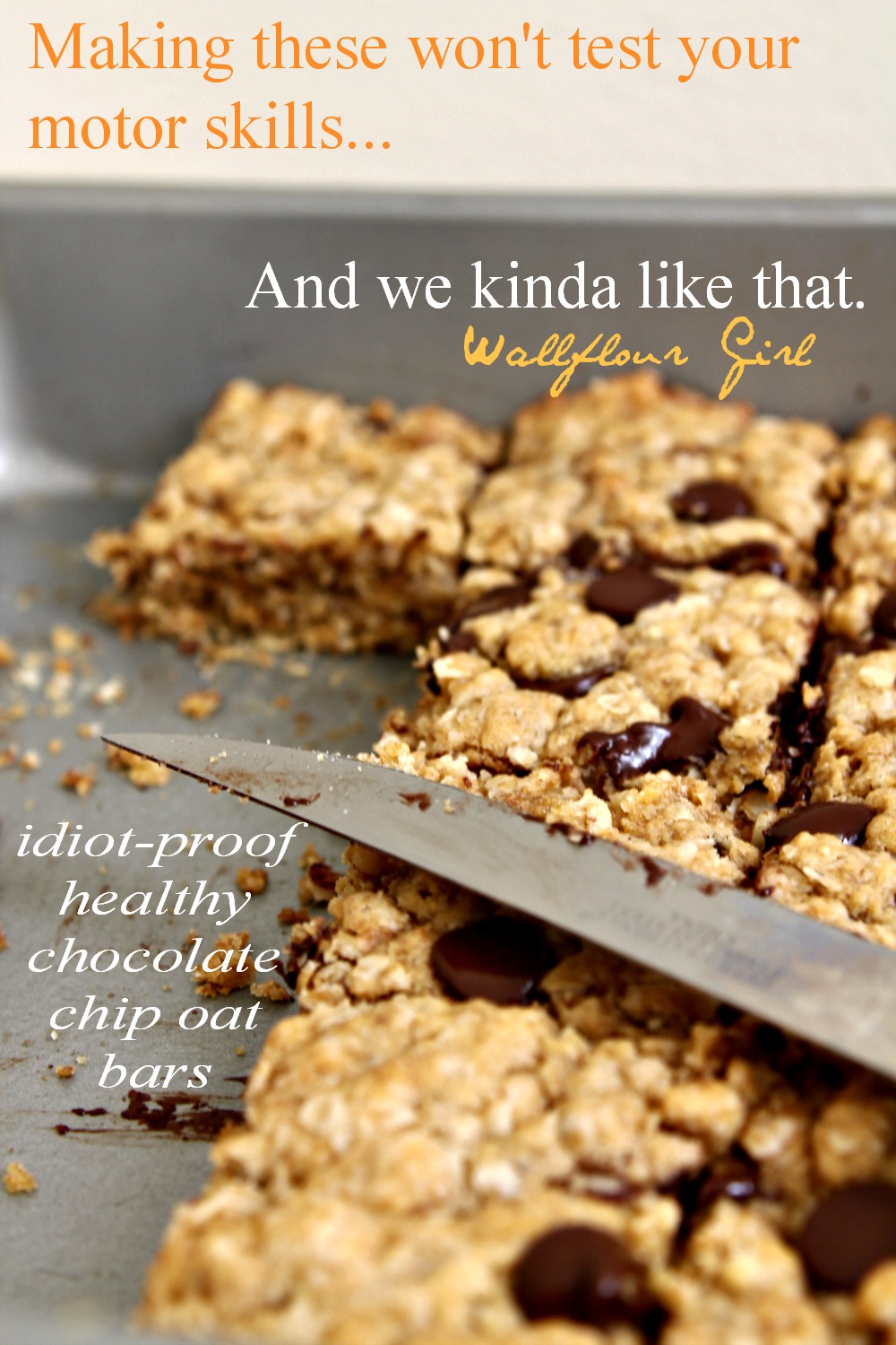 Idiot-Proof Healthy Chocolate Chip Oat Bars 10--012214