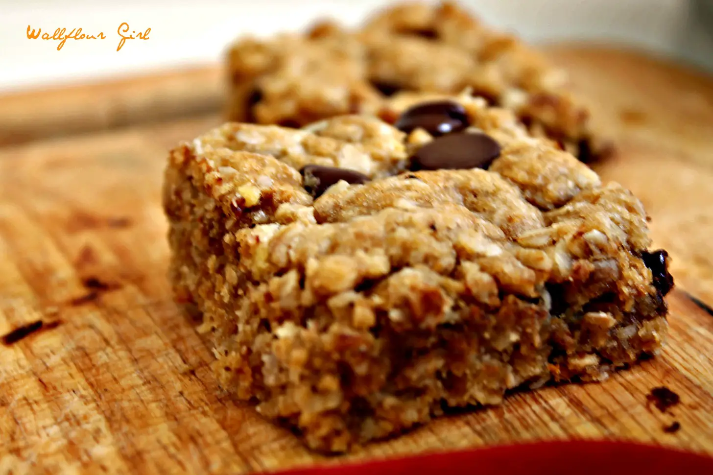 Idiot-Proof Healthy Chocolate Chip Oat Bars 5--012214
